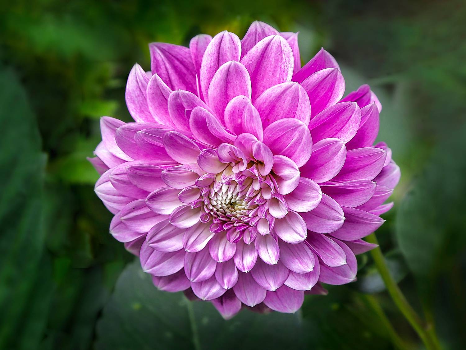 , Ушаков Валерий