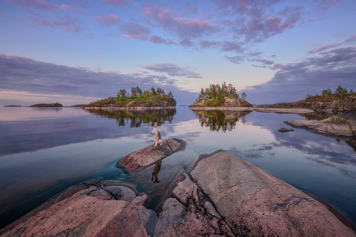 ладога, Евдокимов Максим