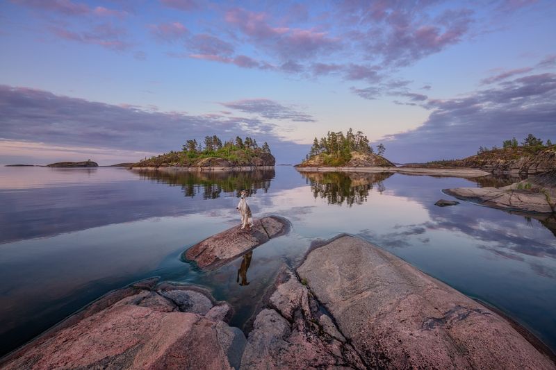 ладога Киты...Собаки... и др... фото превью