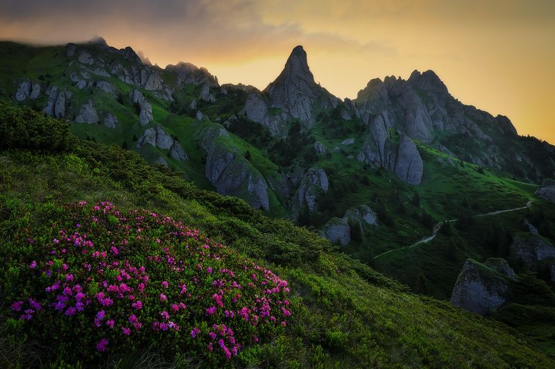 2025 фото превью