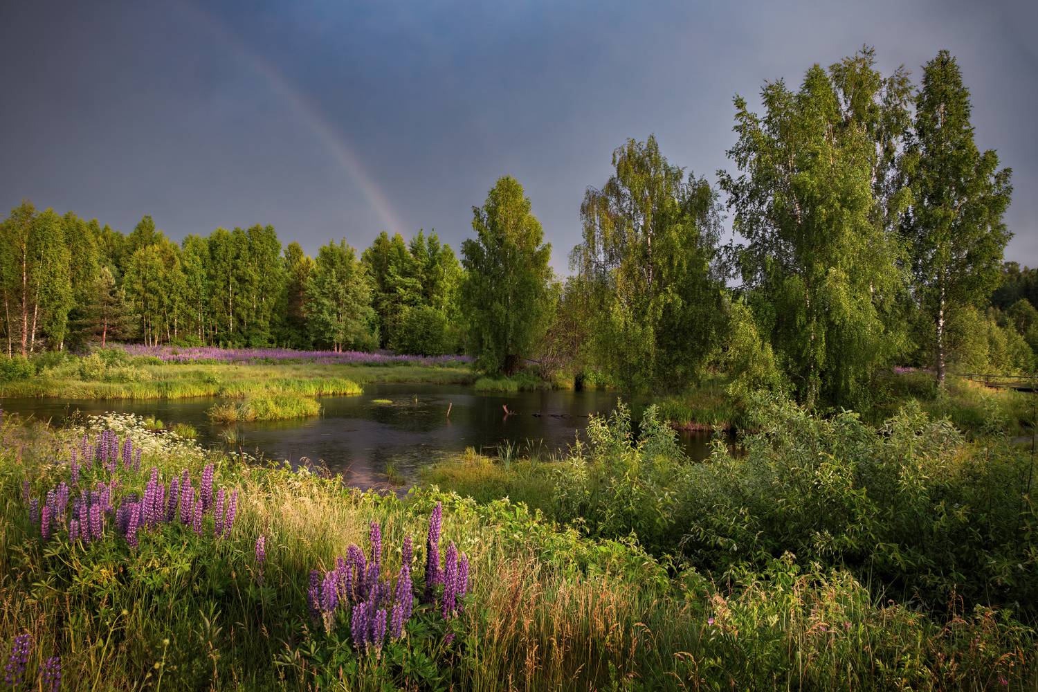 , Евгений Ерохин