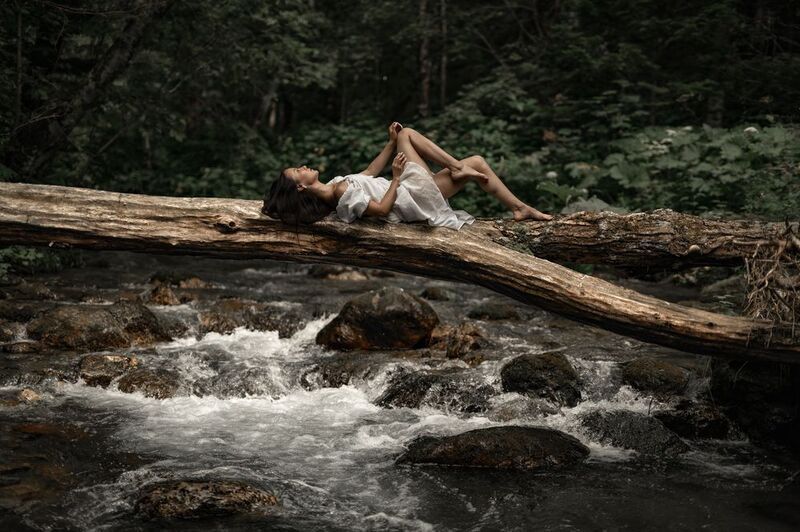 Этюд с поваленным деревом фото превью
