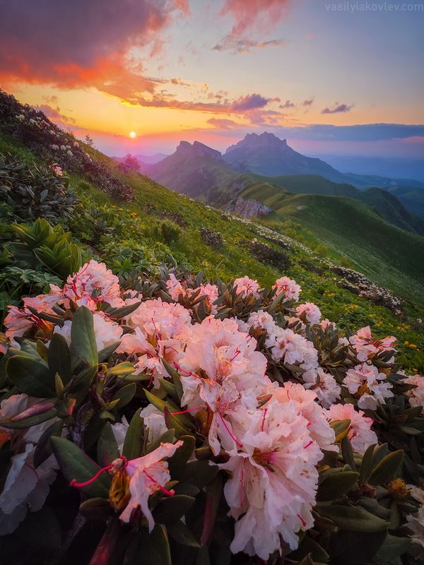 тхач, фототур, яковлевфототур, кавказ Большой Тхач 2025 фото превью