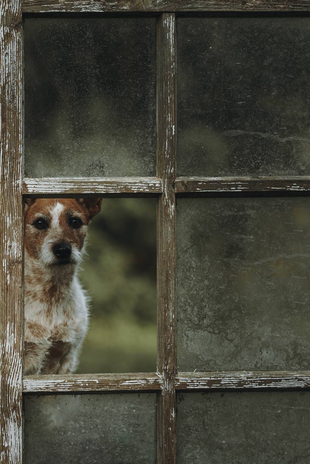 , Мороз Ирина