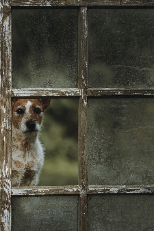 Драматичная Джесси фото превью