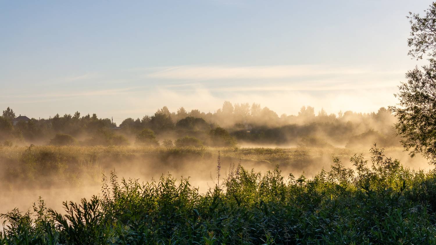 , Комарова Вера