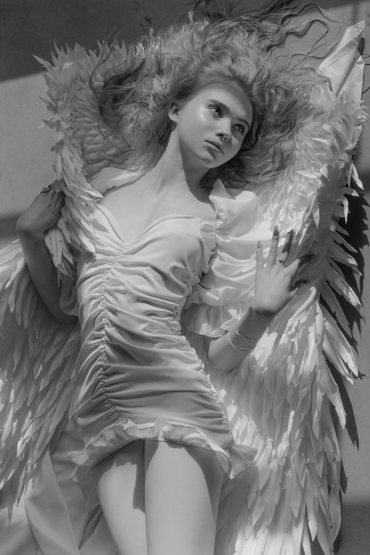 T фото превью