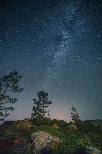 Алтайский край