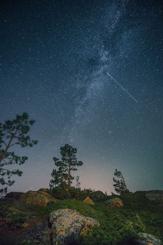 звезды, лес, камни, алтай, ночное небо, ночь Алтайский край фото превью