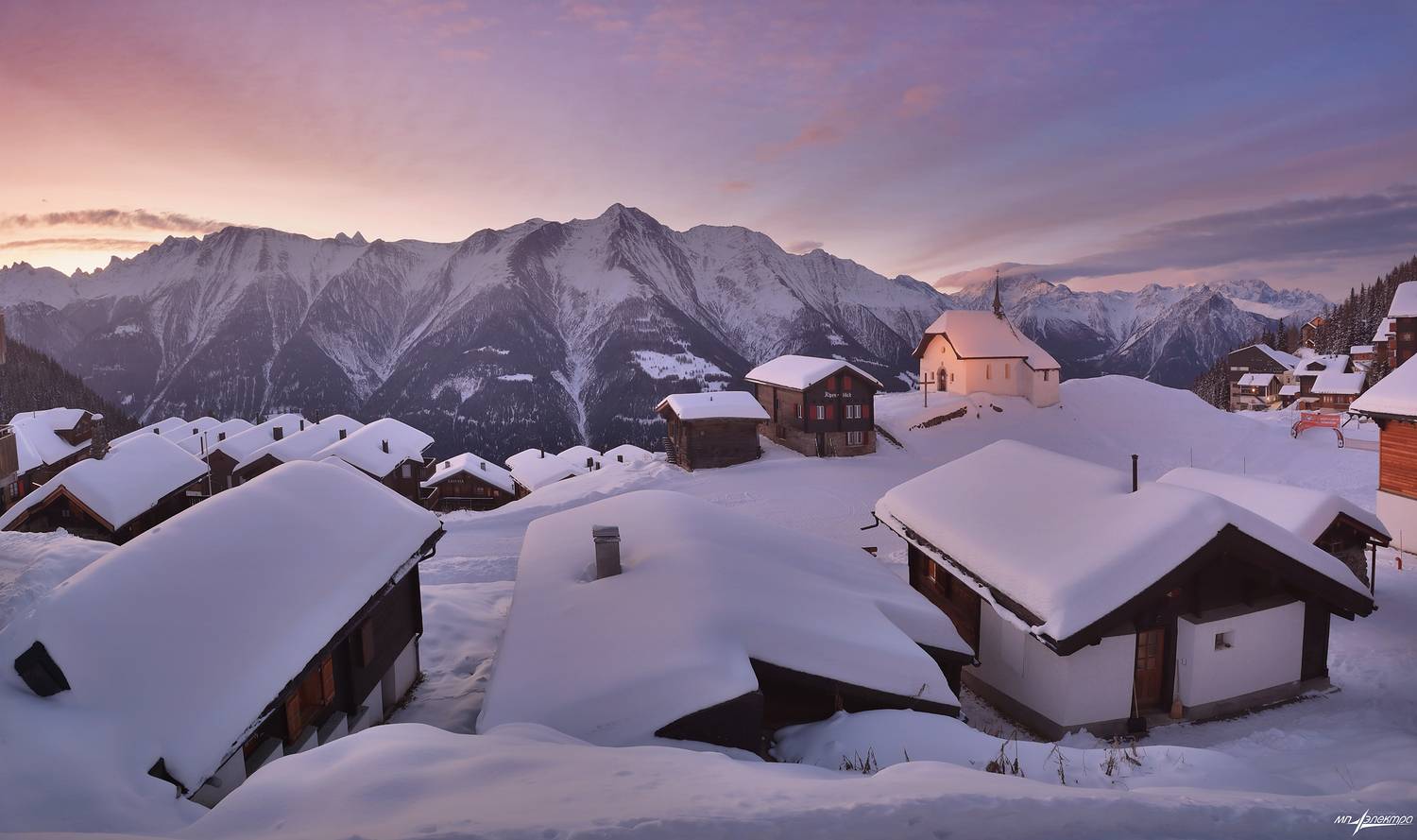 swiss, Матвеев Николай