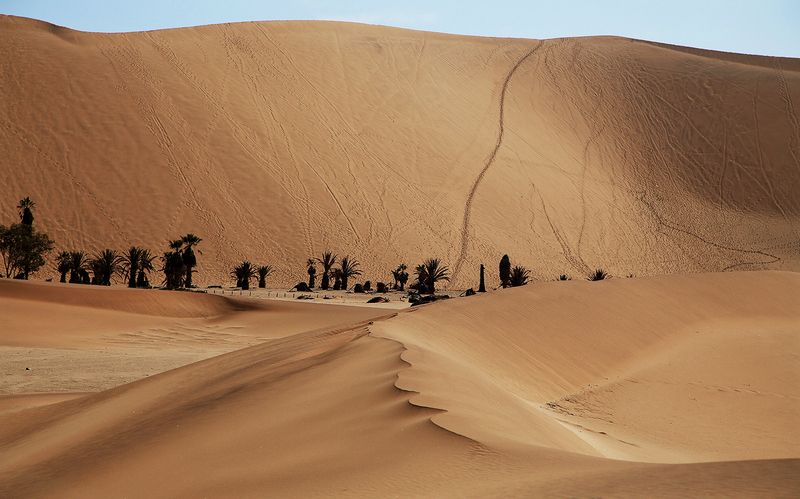 Оазис фото превью