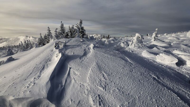 таганай урал челябинск златоуст fuji пейзаж landscape Елочки фото превью