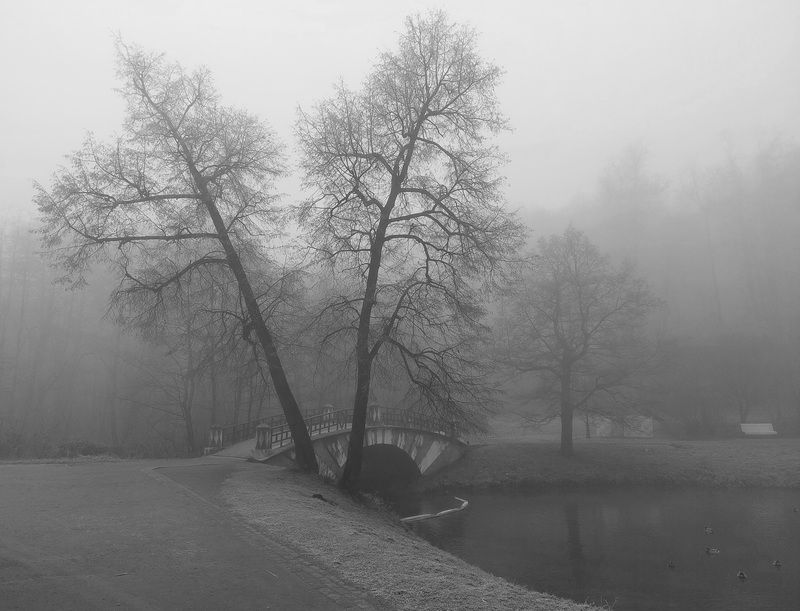 Туман фото превью