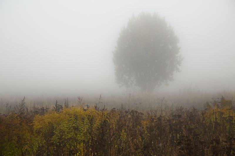 пейзаж туман утро осень Туманное утро фото превью