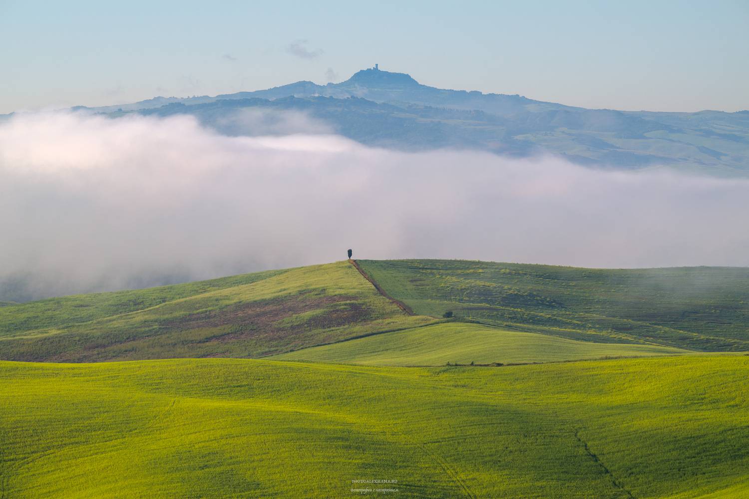 италия, тоскана, val d&rsquo;orcia, пейзаж, утро, туман, кипарис, Александр Константинов