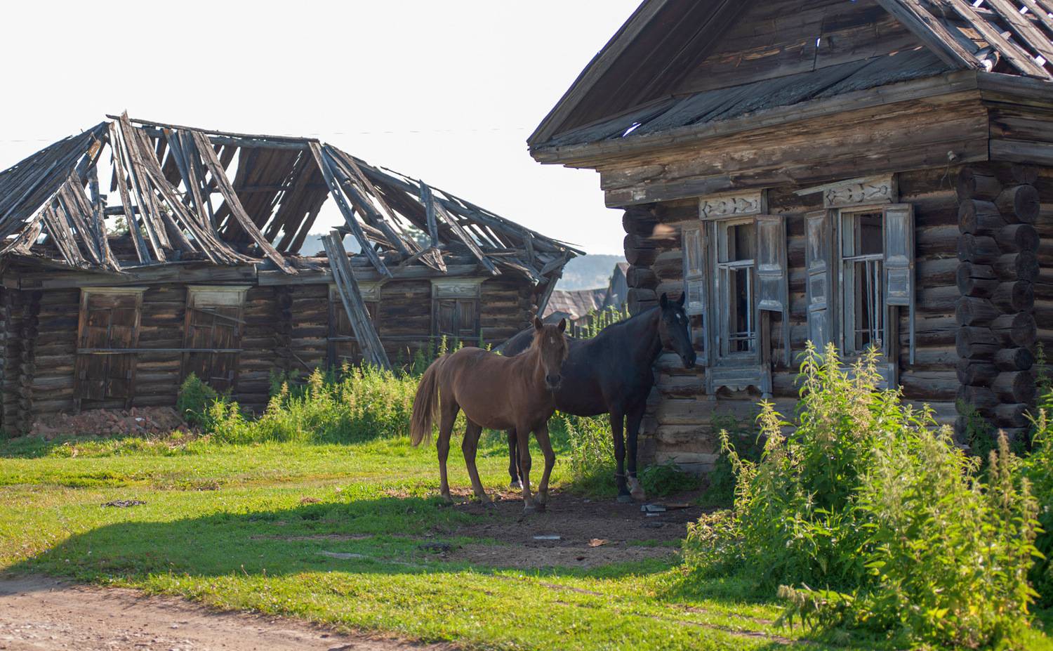 , Шустиков Дмитрий