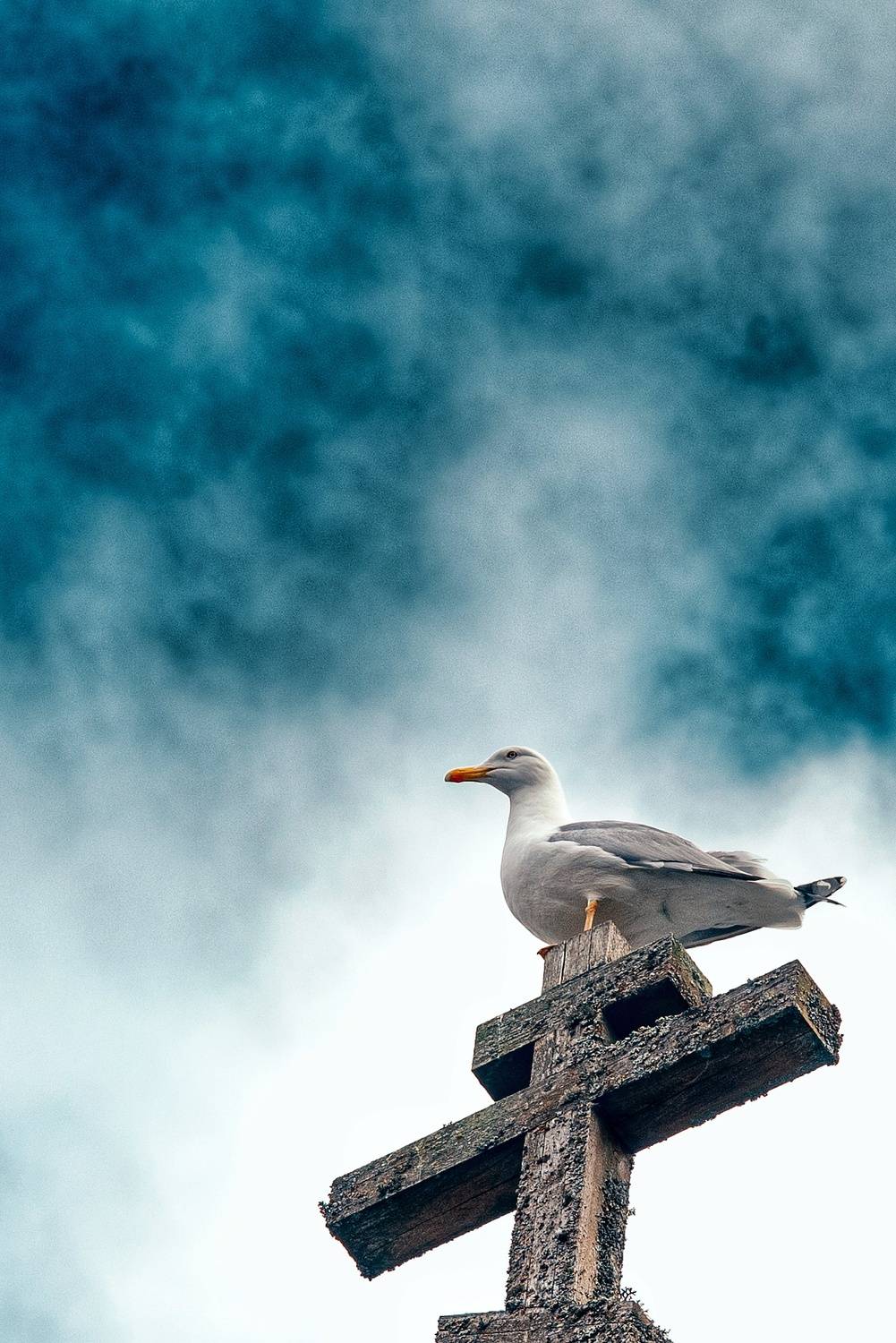 , Маринов Сергей