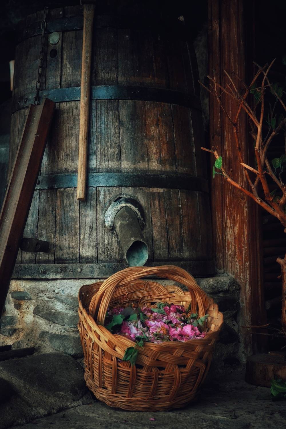 , Юлияна Стоянова