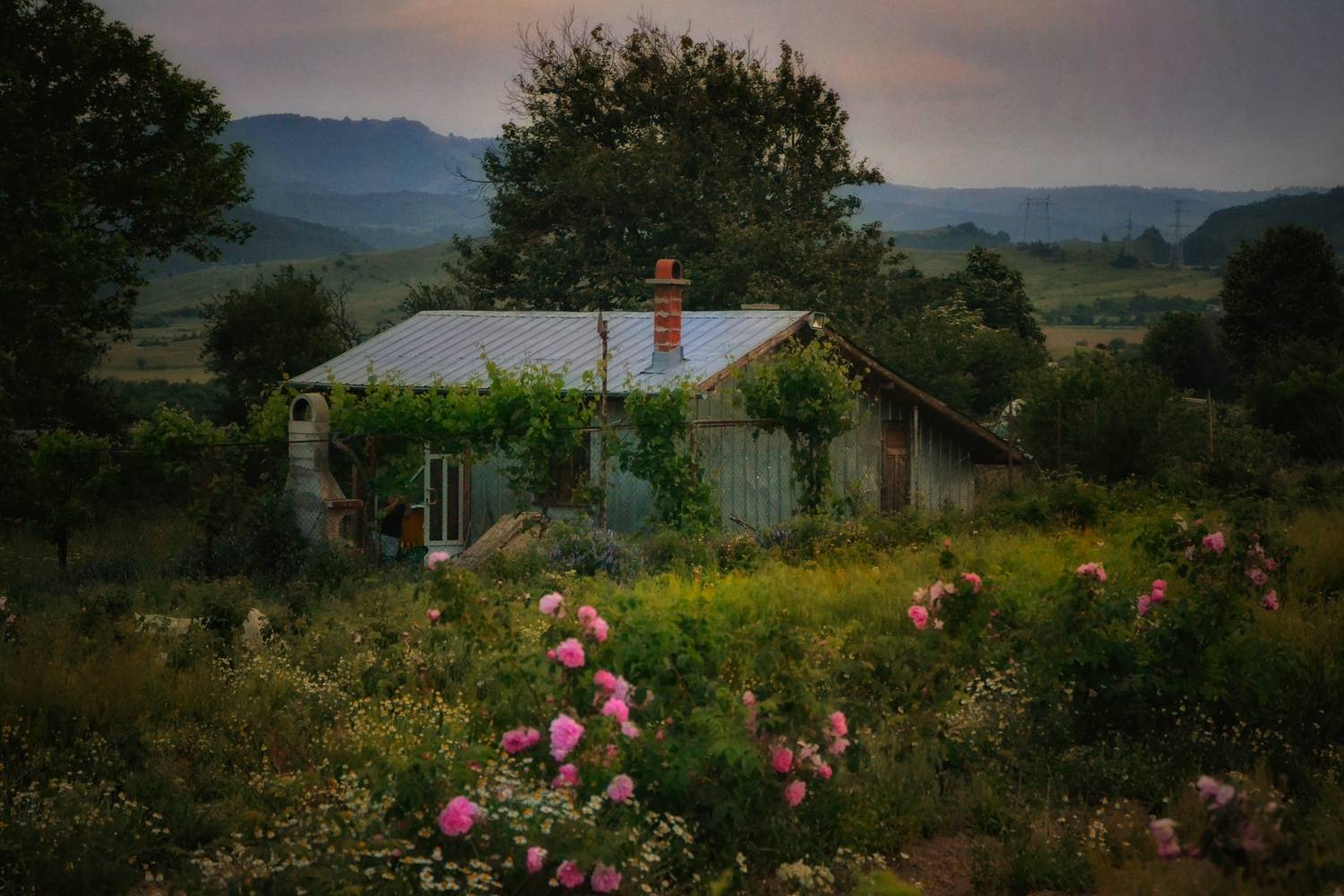 , Юлияна Стоянова