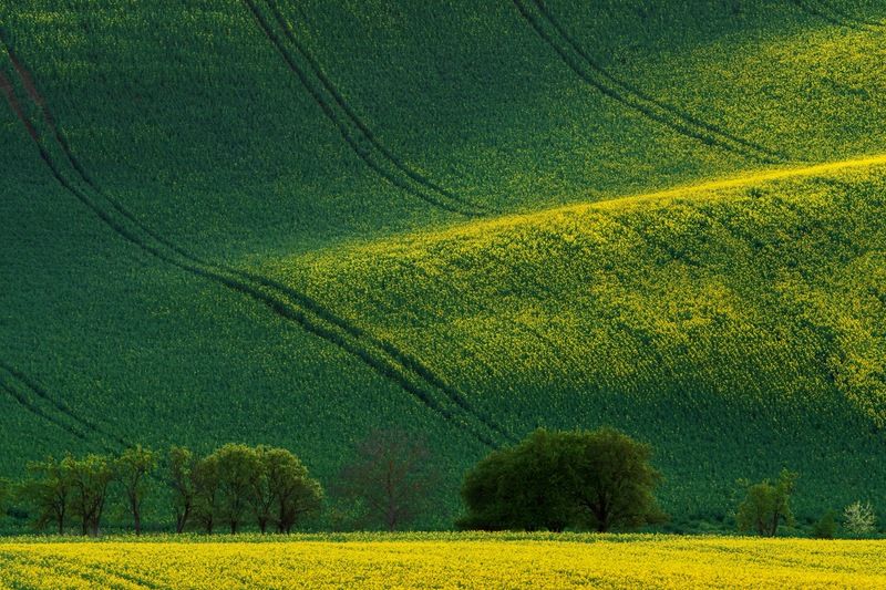 Волны фото превью