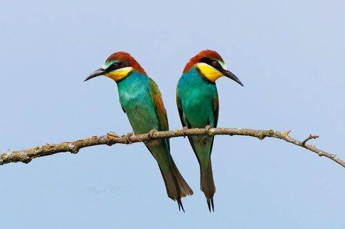 Беседа не завязалась