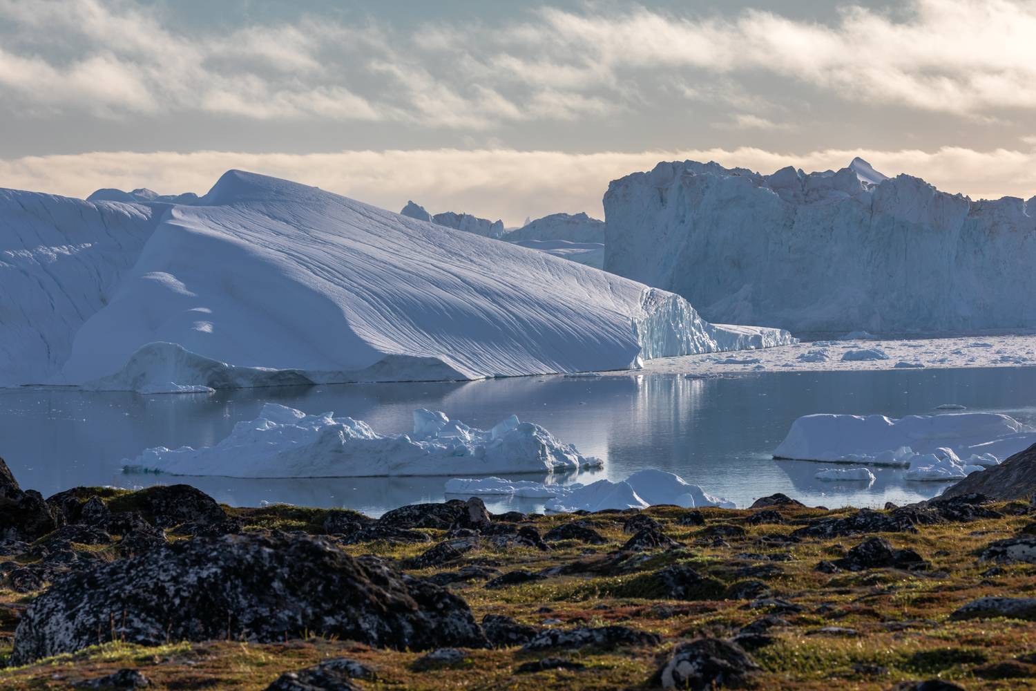 , Евгения Чех
