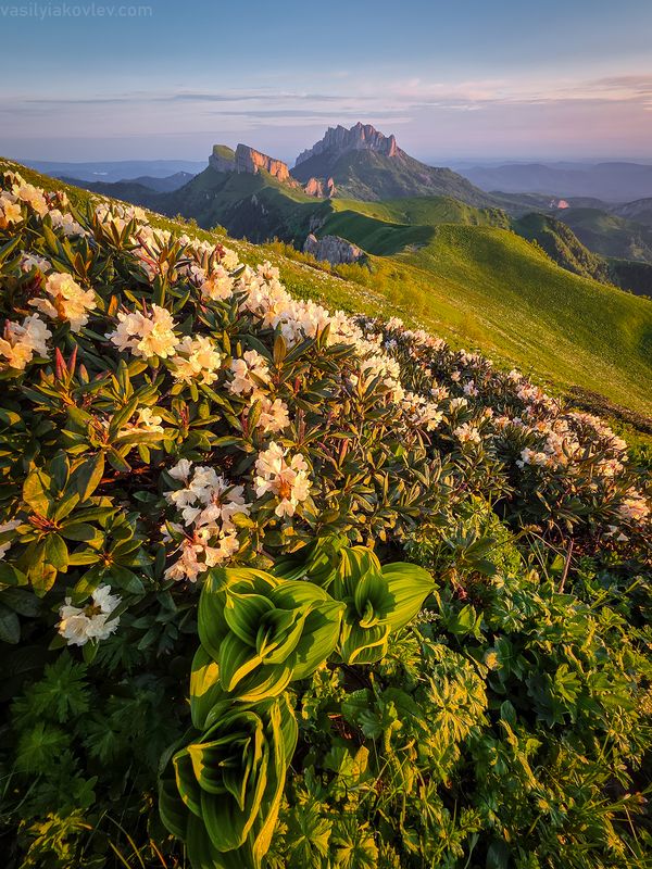 тхач, большой тхач, фототур, яковлевфототур, кавказ, адыгея Большой Тхач 2025 фото превью