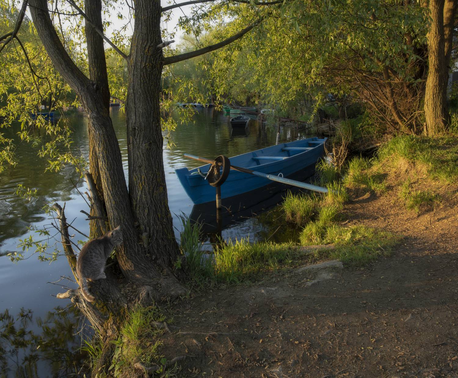 , Бонина Ольга