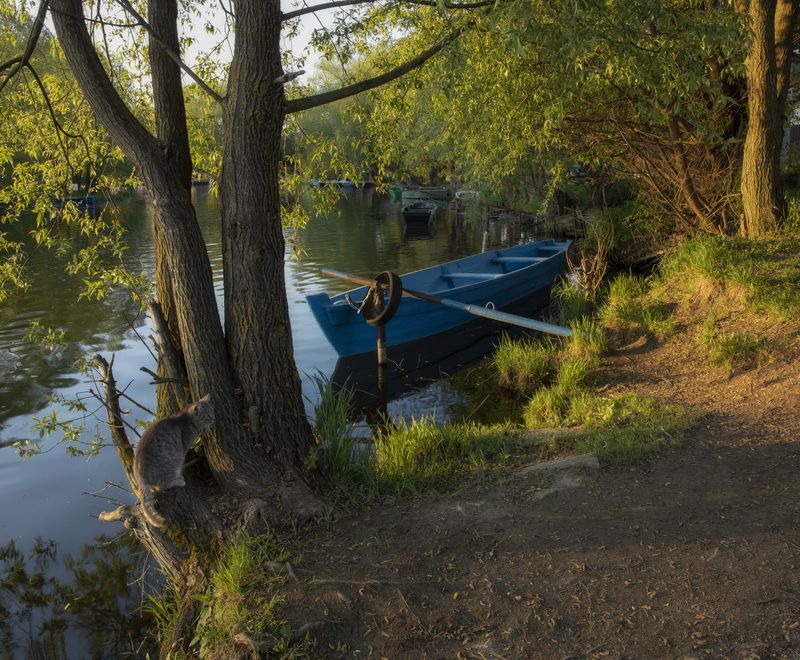 фото превью