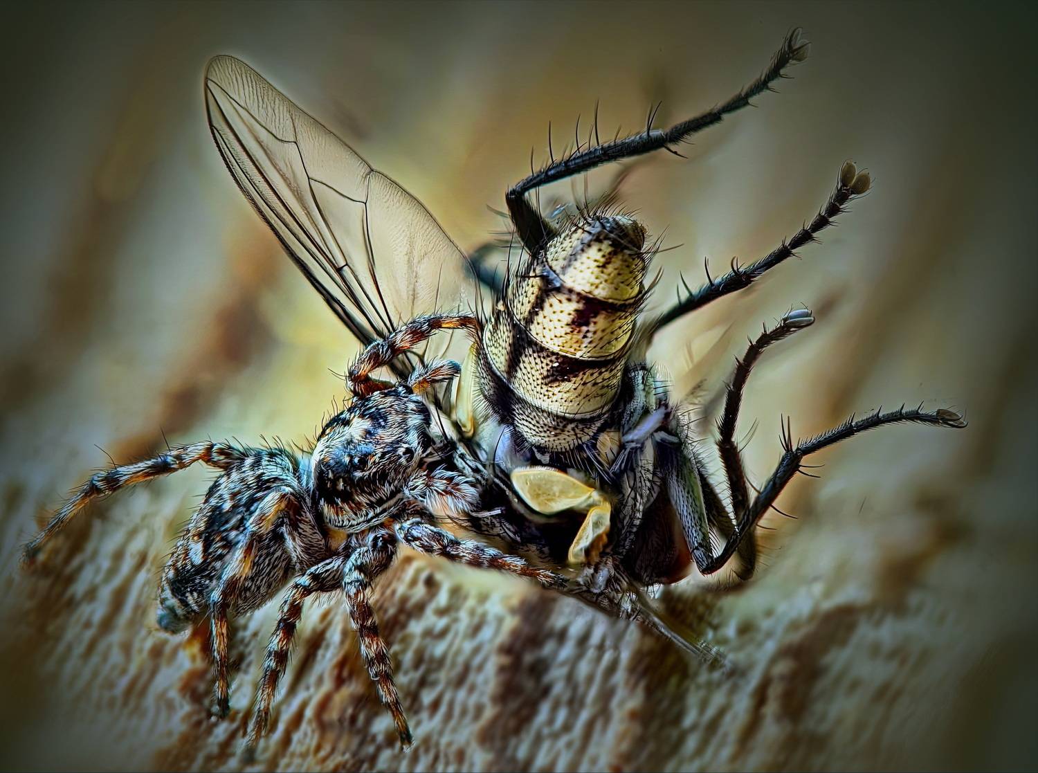 , Кузнецов Дмитрий