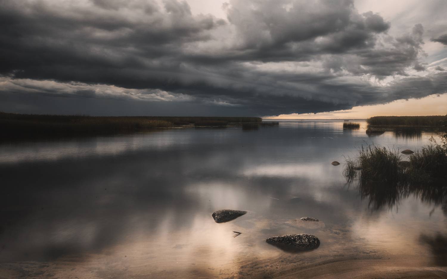 , Олег Дунаев