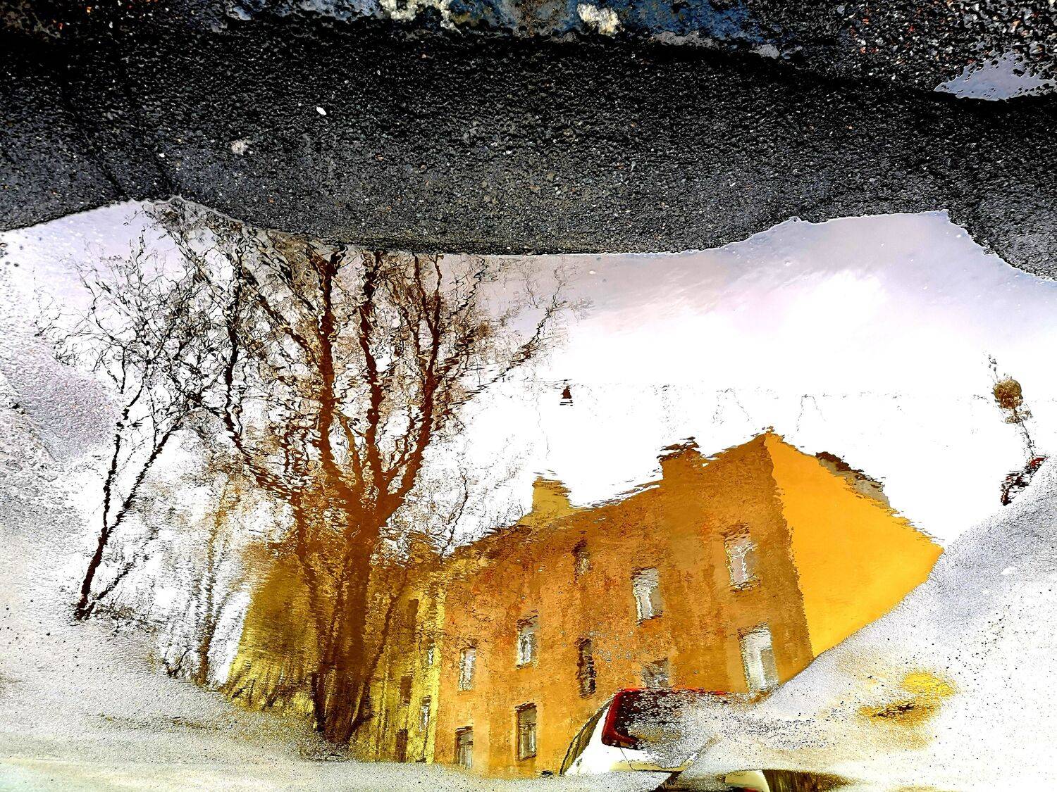 , Антон Лаба