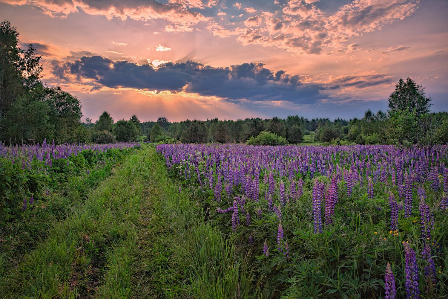 , Евгений Ерохин