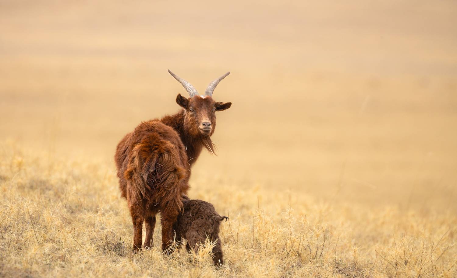 , Веревченко Михаил