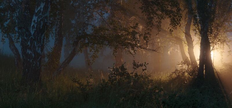 Сквозь мглу фото превью