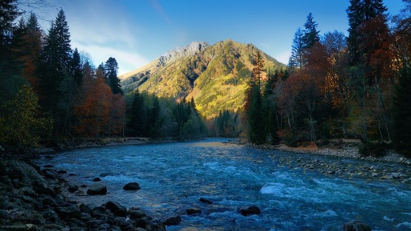 природа пейзаж лес горы река заповедник осень Теберда встречает восход фото превью
