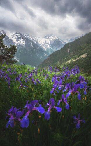 В ожидании грозы