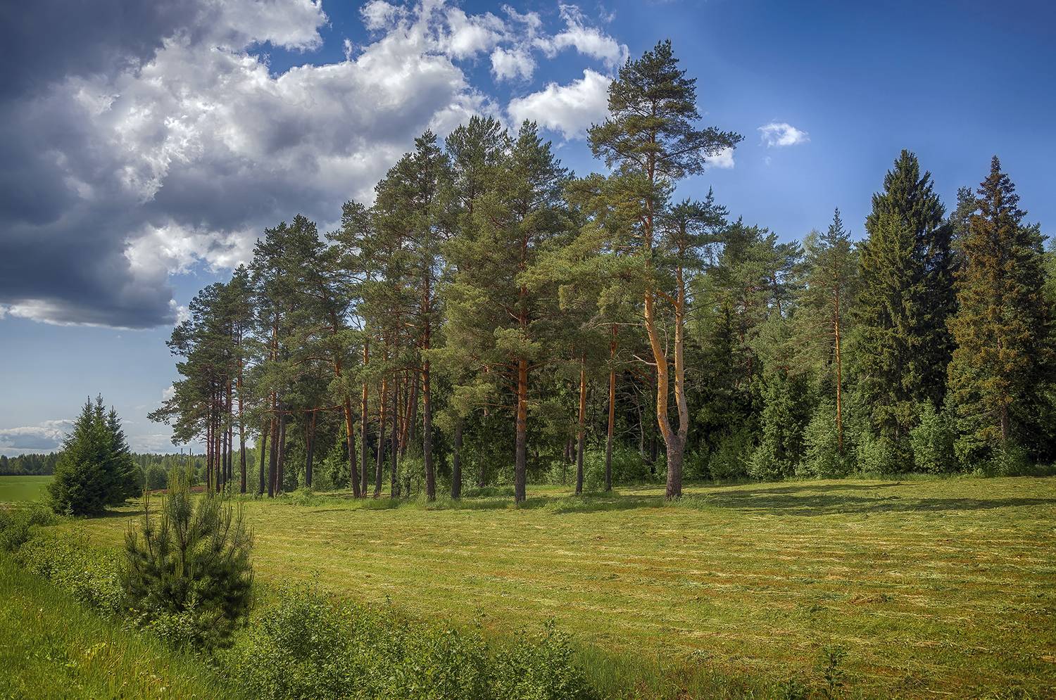 , Сергей Аникин