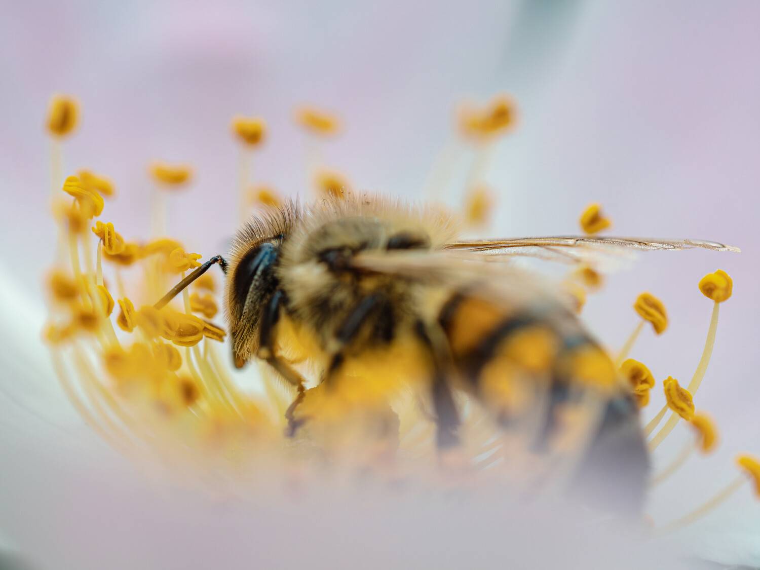 , Ирина Протченко