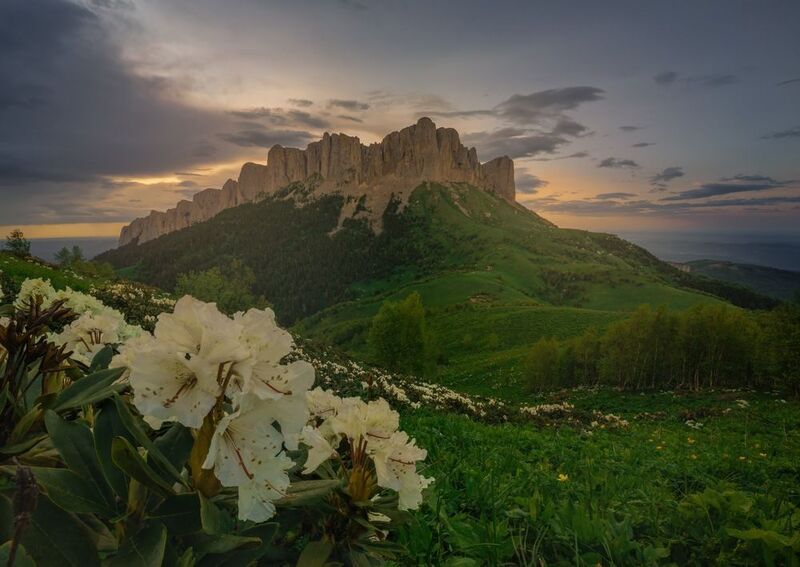 фото превью