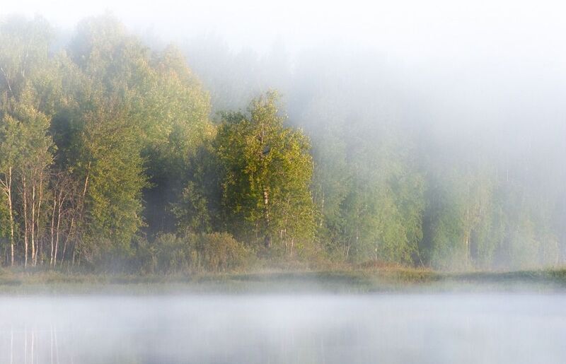 Накурили. фото превью