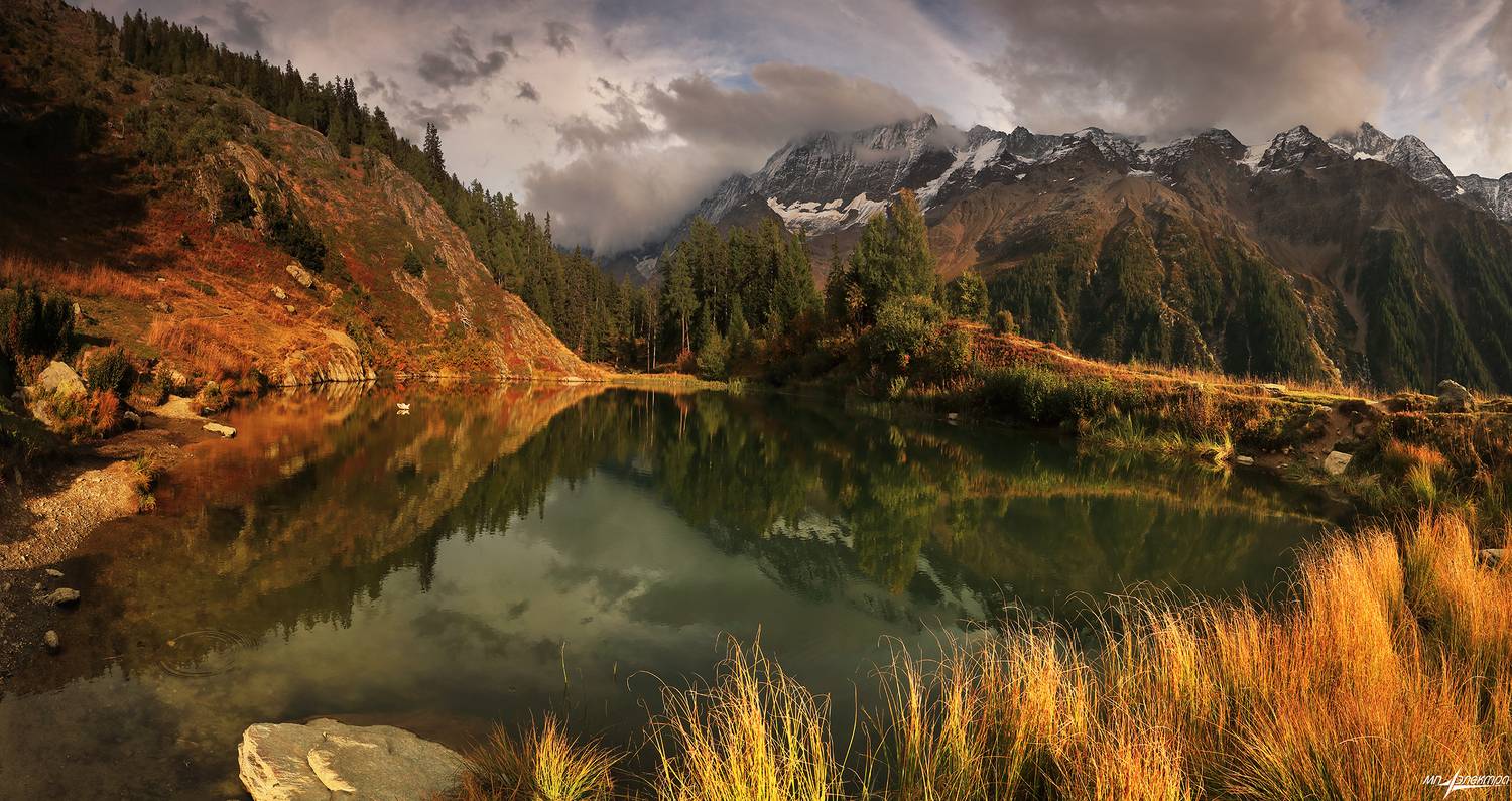 swiss, Матвеев Николай