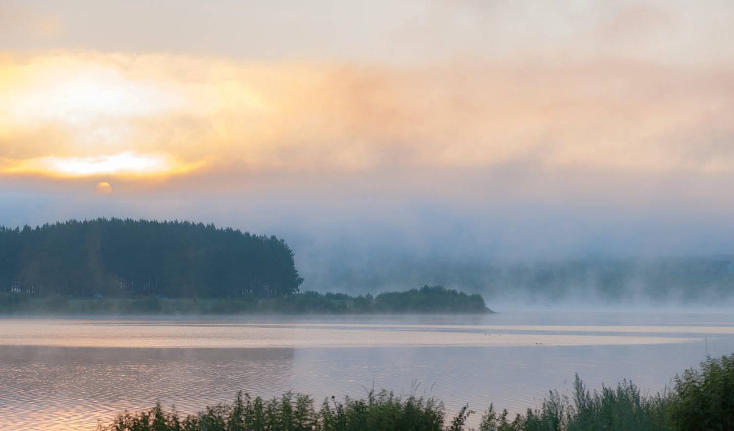 , Шустиков Дмитрий