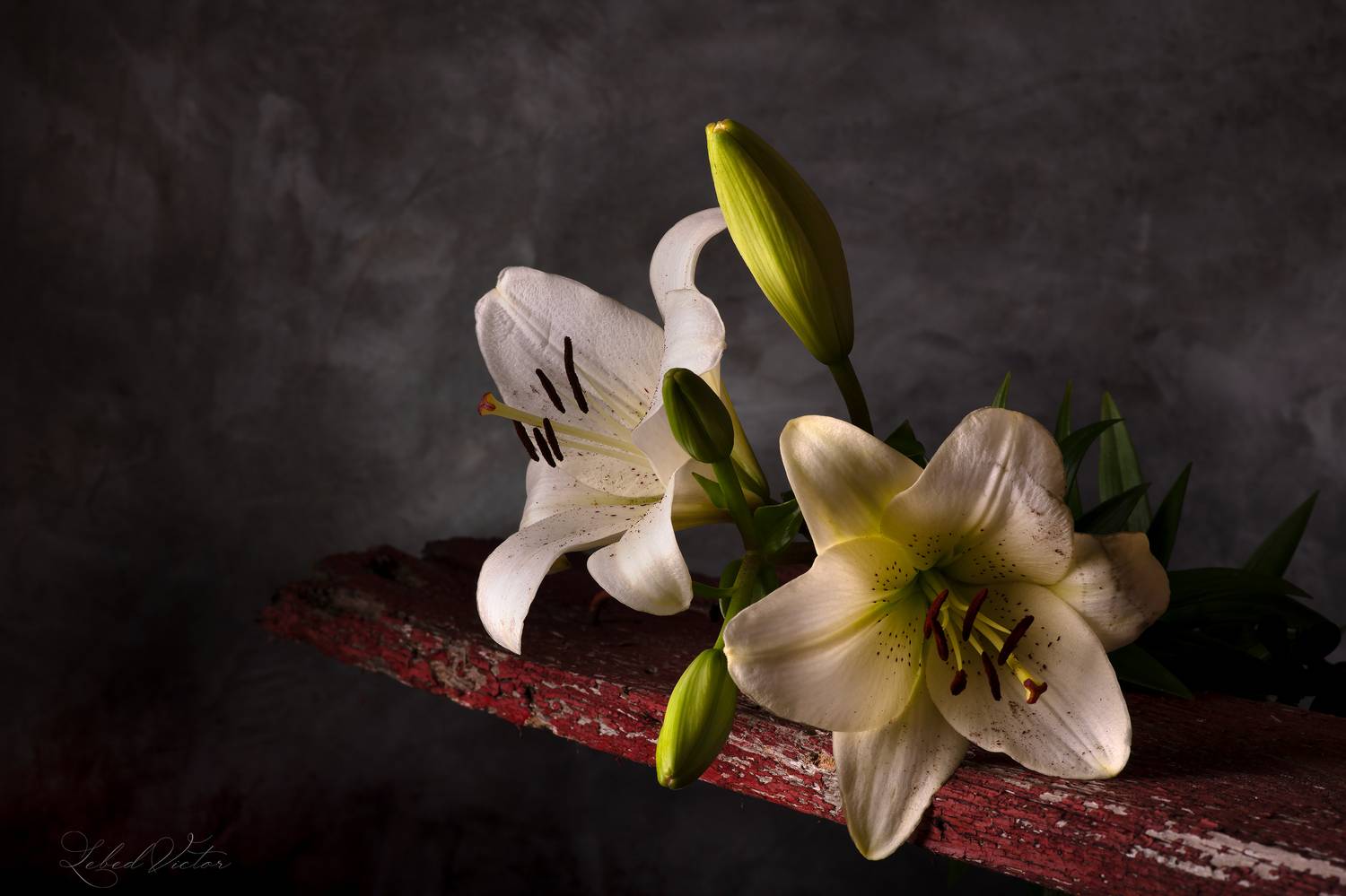 , Виктор Лебедь