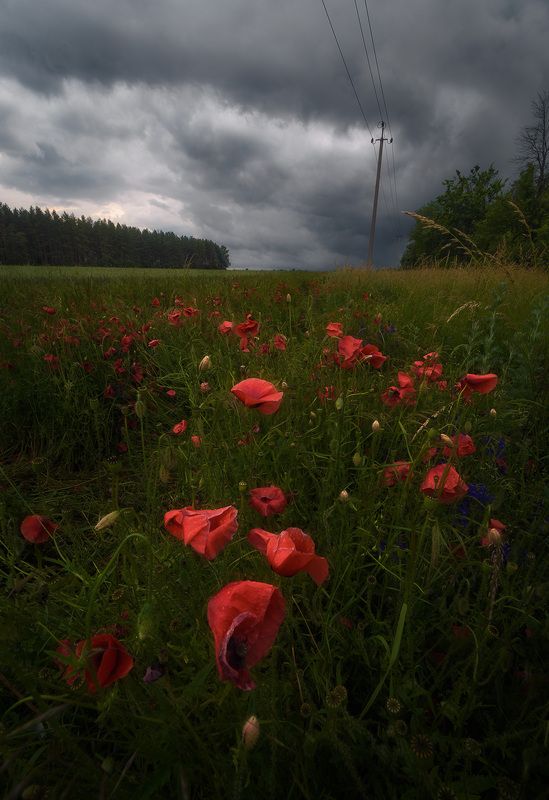 Холодный июнь фото превью