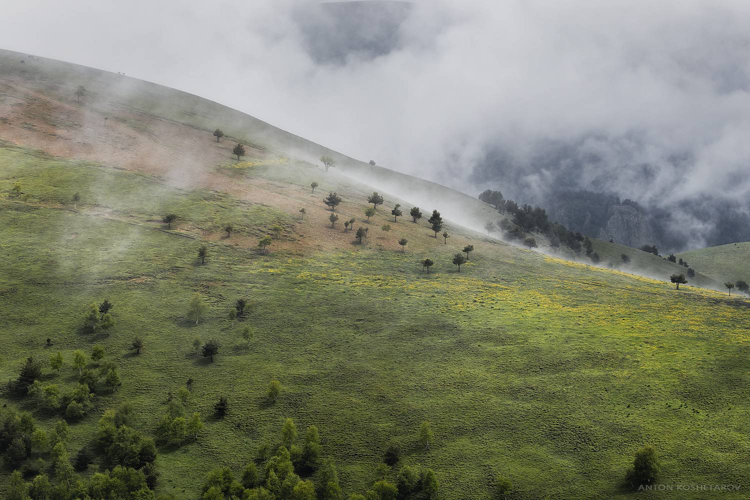 , Антон Кошетаров