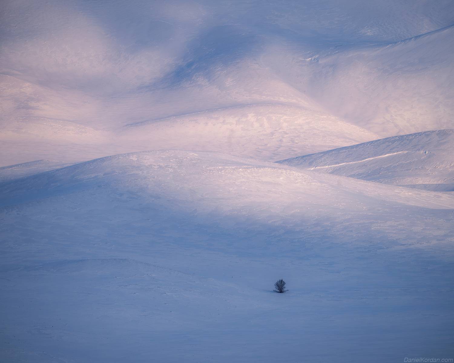 , Даниил Коржонов