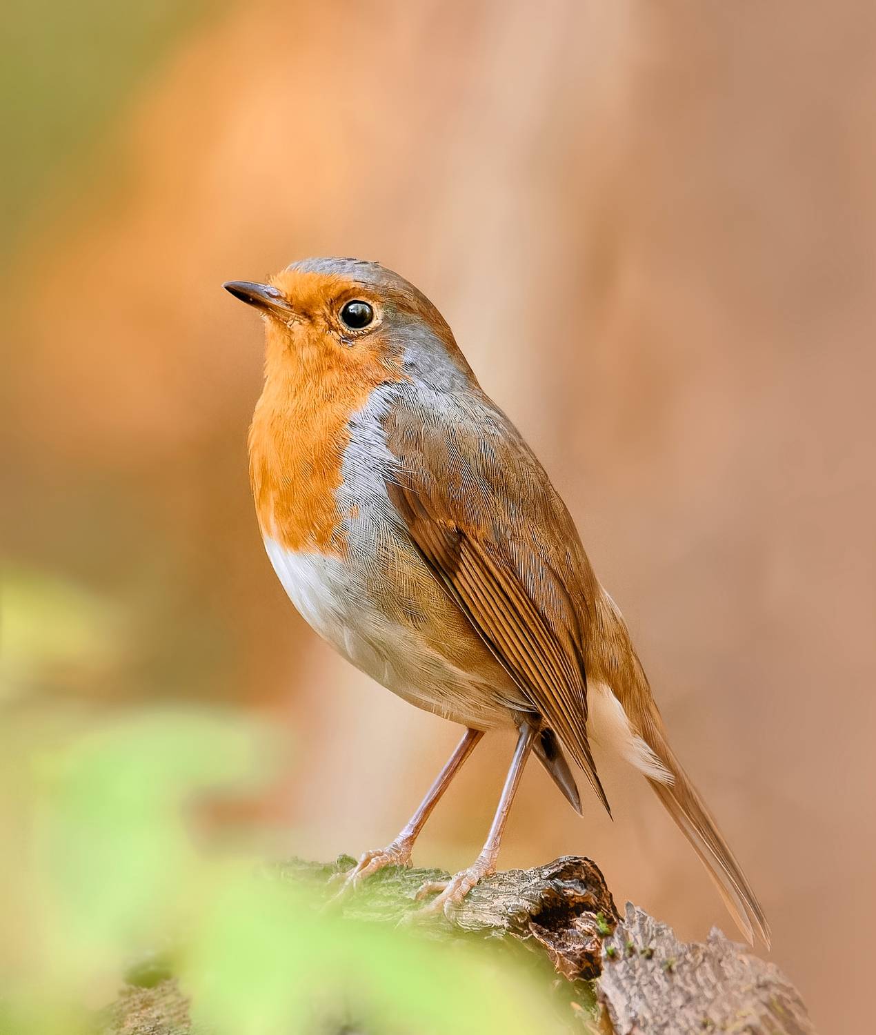 , Фото Александр