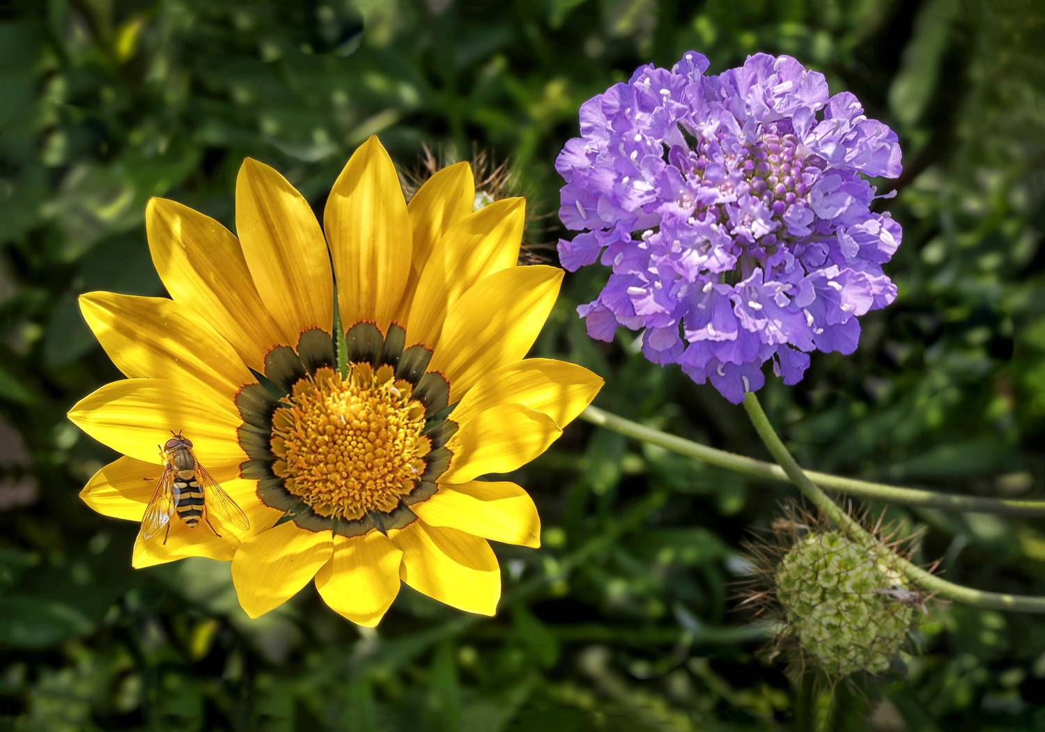 , Ушаков Валерий