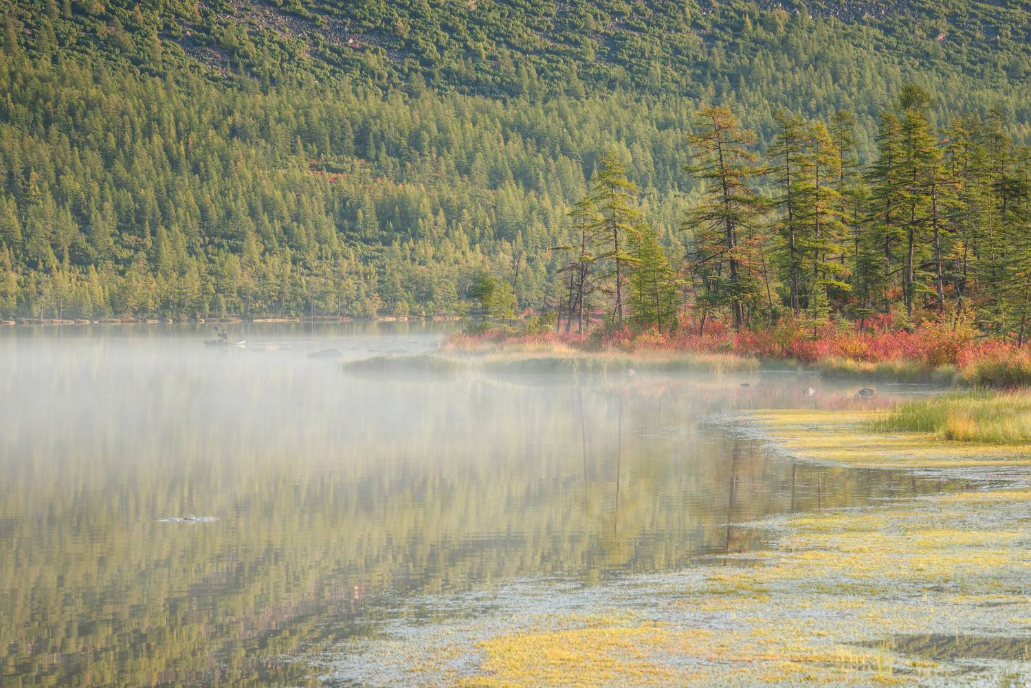 озеро джека лондона, Евдокимов Максим